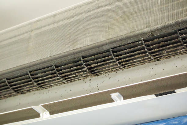 Best Professional Duct Cleaning Services  in Glendora, CA